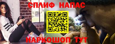 ешки Ставрополь